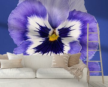 Viooltje in het blauw van Marjolijn van den Berg