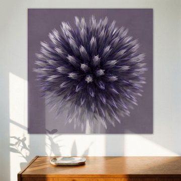 Ein Quadrat mit einer violetten (mauve) Kugeldistel von Marjolijn van den Berg