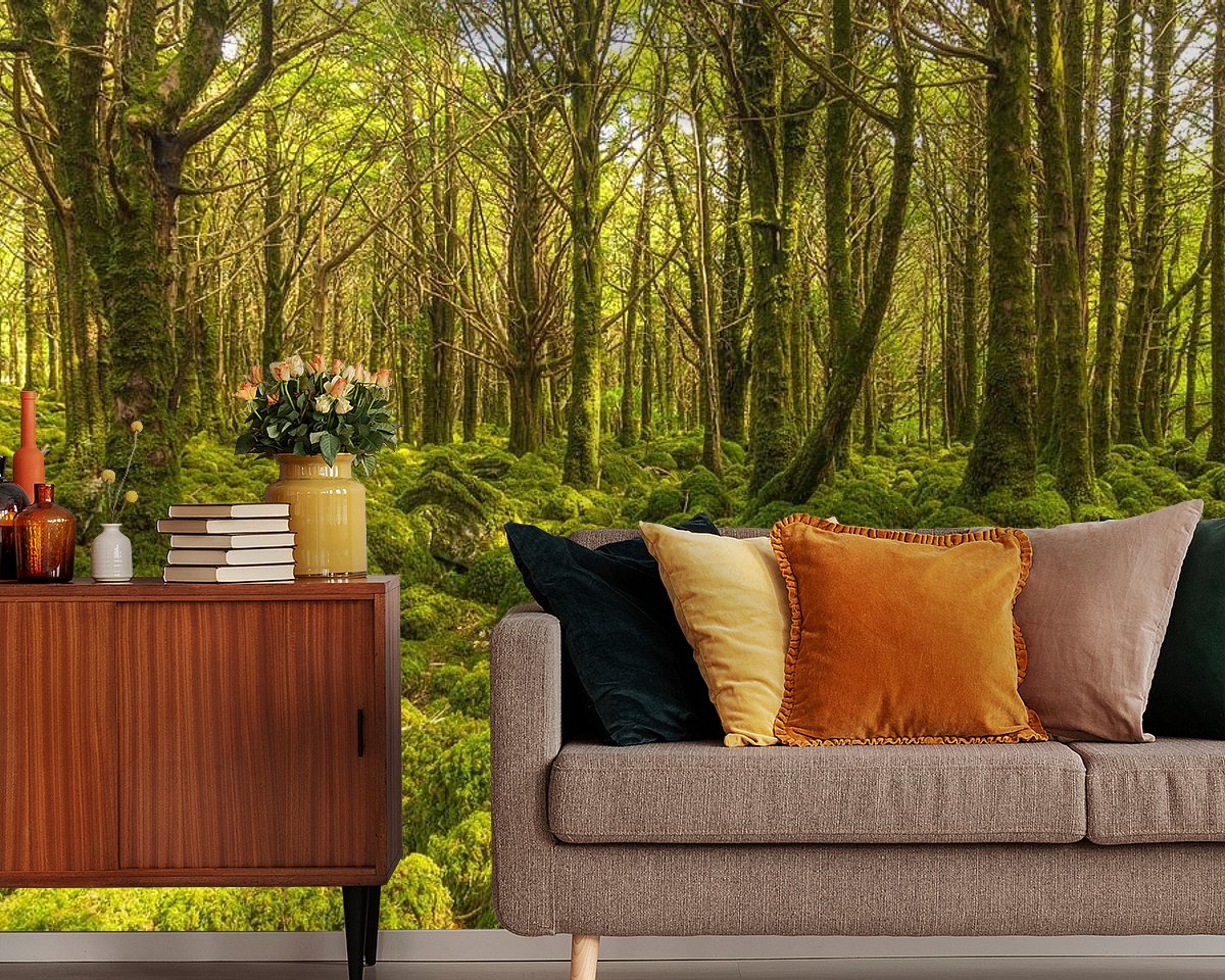 Raumvorschau