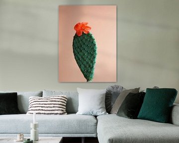 Cactus bloem flower power contrast van raisa haveman