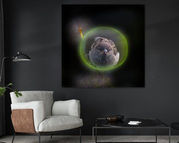 Sparrow flies through a hoop by Miny'S