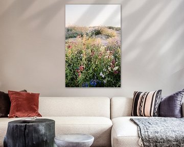 Ossentong Anchusa bloemveld met zonsondergang in Duinen aan Hollandse Kust van NANI IS MOOI