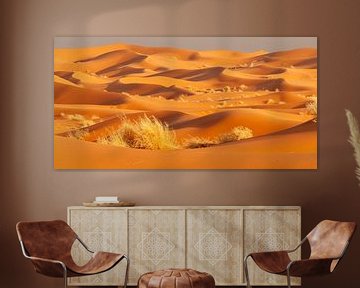the Sahara by Walter G. Allgöwer