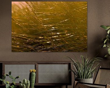 Marram grass in the dunes on Langeoog by Karl-Heinz Petersitzke