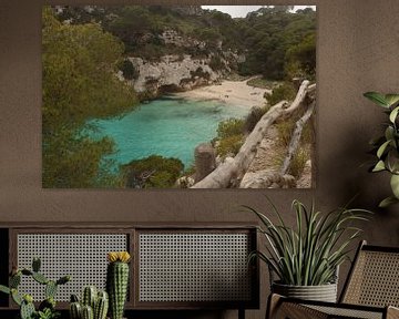 Cala Macarellata van Daniëlle Eibrink Jansen