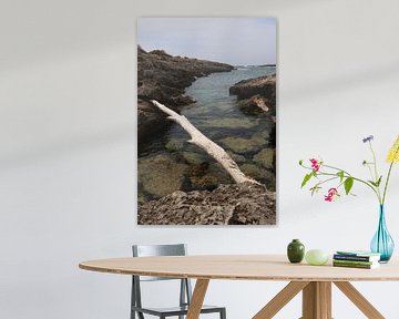 Lijnen in het landschap van Daniëlle Eibrink Jansen