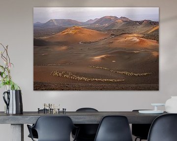Lanzarote 7 by Nuance Beeld