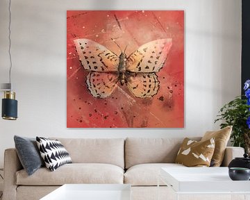 Butterfly with red background