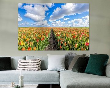 palette de couleurs avec des tulipes en fleurs sur eric van der eijk