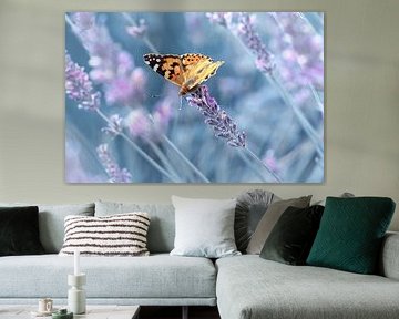 Schmetterling Distelfalter