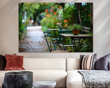 Moderne kamerplant op houten tafel van Art & Soul Creations