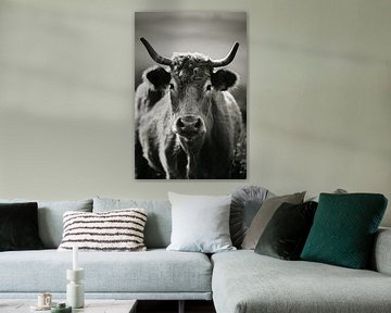 Portugeese koe in zwart-wit van Niels Bronkema