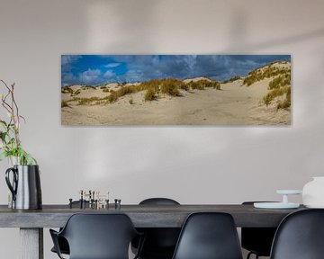 duinvorming op Terschelling van Jan Fritz