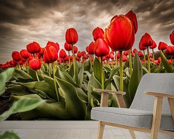 Tulpen - Rood van Edwin van Wijk