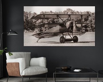 Replica van een Fokker DR.1 driedekker. van Jaap van den Berg