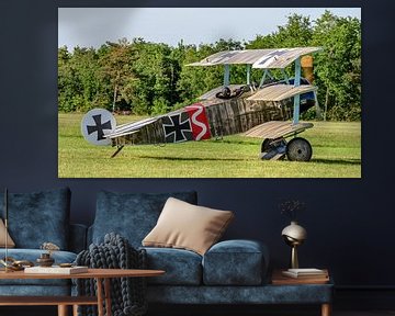 Replica van een Fokker DR.1 driedekker. van Jaap van den Berg