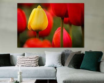 Tulpen - Standing out van Edwin van Wijk