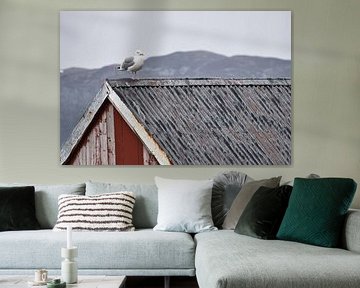 Mouette sur une cabane de pêcheur au bord d'un fjord en Norvège sur Martin Köbsch