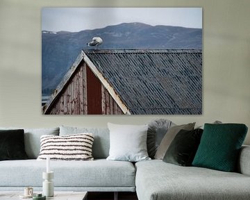 Mouette sur une cabane de pêcheur au bord d'un fjord en Norvège sur Martin Köbsch