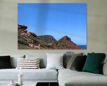 Rode Wouw boven het landschap van Daniëlle Eibrink Jansen