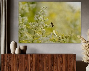 A busy bee