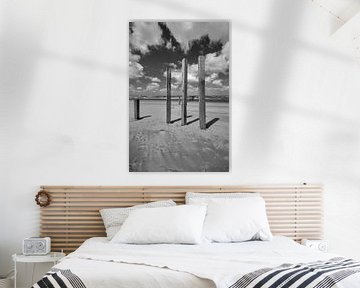 Beach poles at nude beach by Peter Bartelings