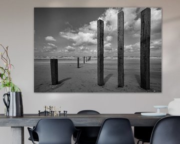 Beach poles at nude beach by Peter Bartelings
