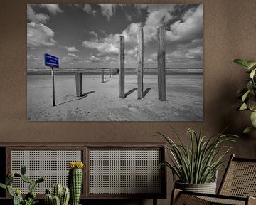 Beach poles at nude beach by Peter Bartelings