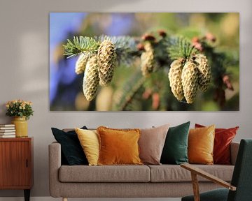 Schiermonnikoog, Pine tree cones van Dan Photo Shaman