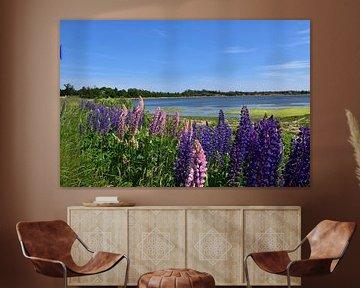 Wildflowers by the sea by Claude Laprise