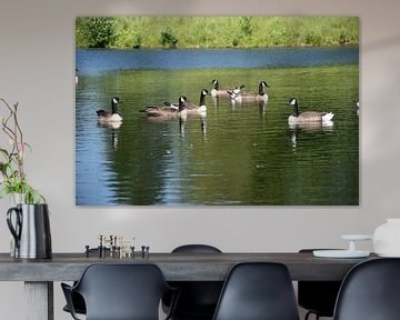 Geese on a pond by Claude Laprise