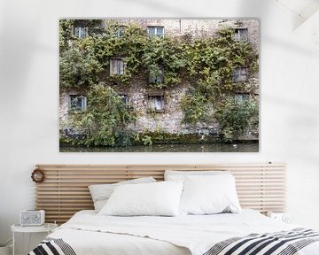 An overgrown facade by Irene Hoekstra