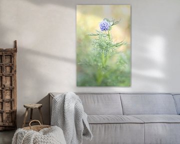 Sea holly by Annemarie van der Hilst