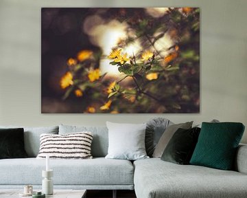 L'image douce des fleurs jaunes.