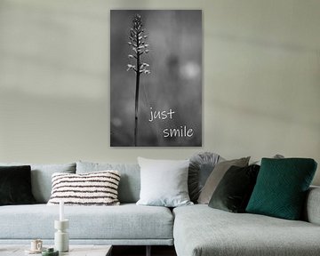 Een bloem in zwart-wit met een spreuk van art559