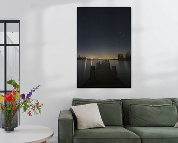 Grote Beer boven de Rotte van Tim van der Kraats