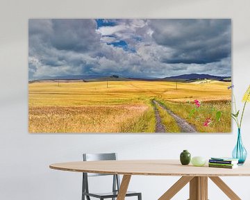 Toscaans landschap omgeving Val d'Orcia van eric van der eijk