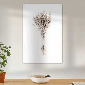 Foto 13 van Silvia Creemers