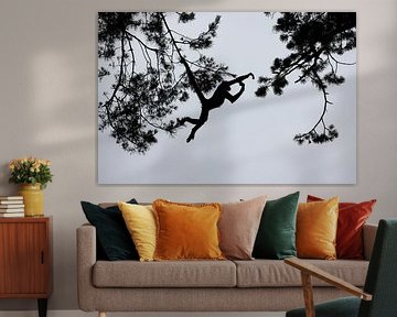 Silhouette d'un singe-araignée colombien sur Edwin Butter