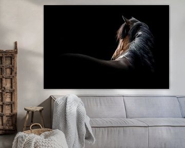 Elegantie in het Donker - Portret van een Paard van Femke Ketelaar