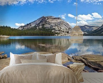 YOSEMITE VALLEY Tenaya Lake Panorama von Melanie Viola