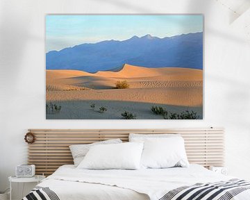 The desert lights up