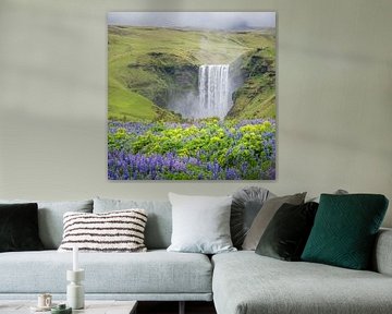 Skogafoss Wasserfall von einer Blumenwiese aus von Erwin Pilon