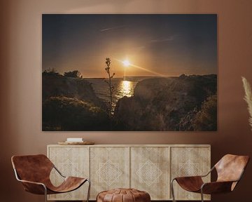 Blume im Licht des Sonnenuntergangs von Visual Creations by Timon