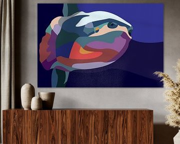 Colorful Mola Fish Artwork Fauna Ocean