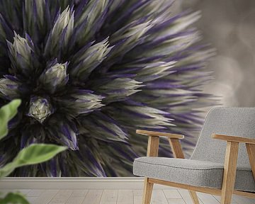 Halbzwiebeldistel leuchtet vor atemberaubendem Hintergrund von Marjolijn van den Berg