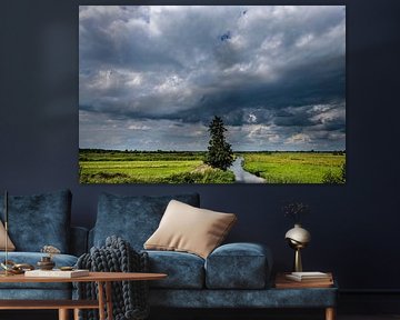 Landscapes and Cloudscapes over Drente
