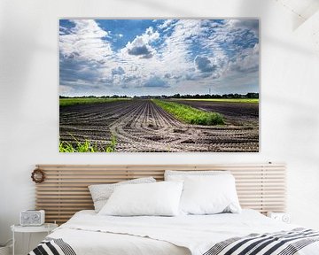 Landscapes and Cloudscapes over Drente