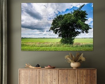 Landscapes and Cloudscapes over Drente