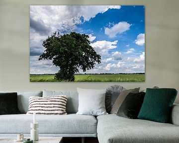 Landscapes and Cloudscapes over Drente